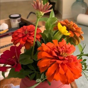 Meet your Posher, Dana